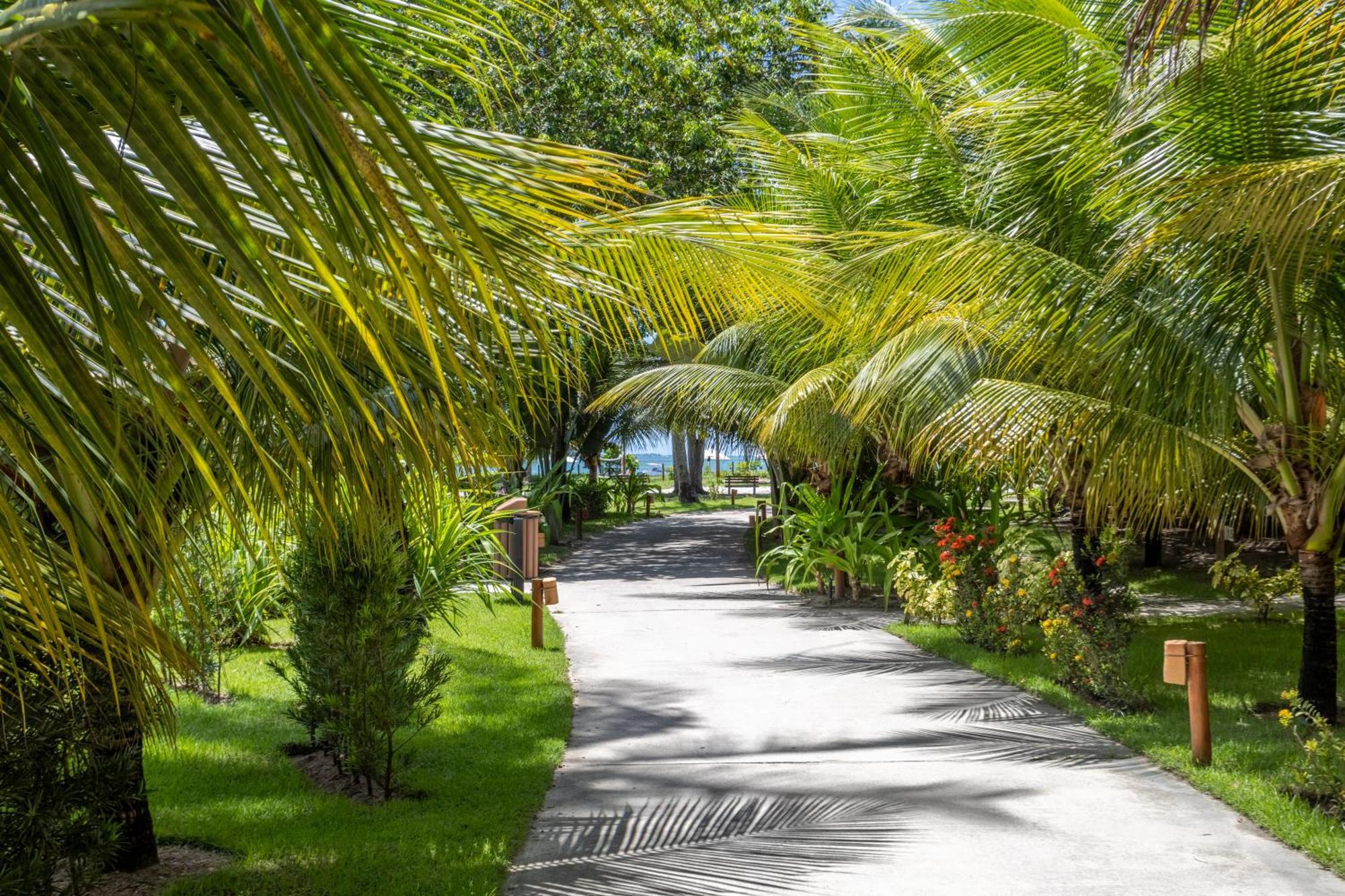 Vista Linda Eco Resort Carneiros Tamandaré المظهر الخارجي الصورة